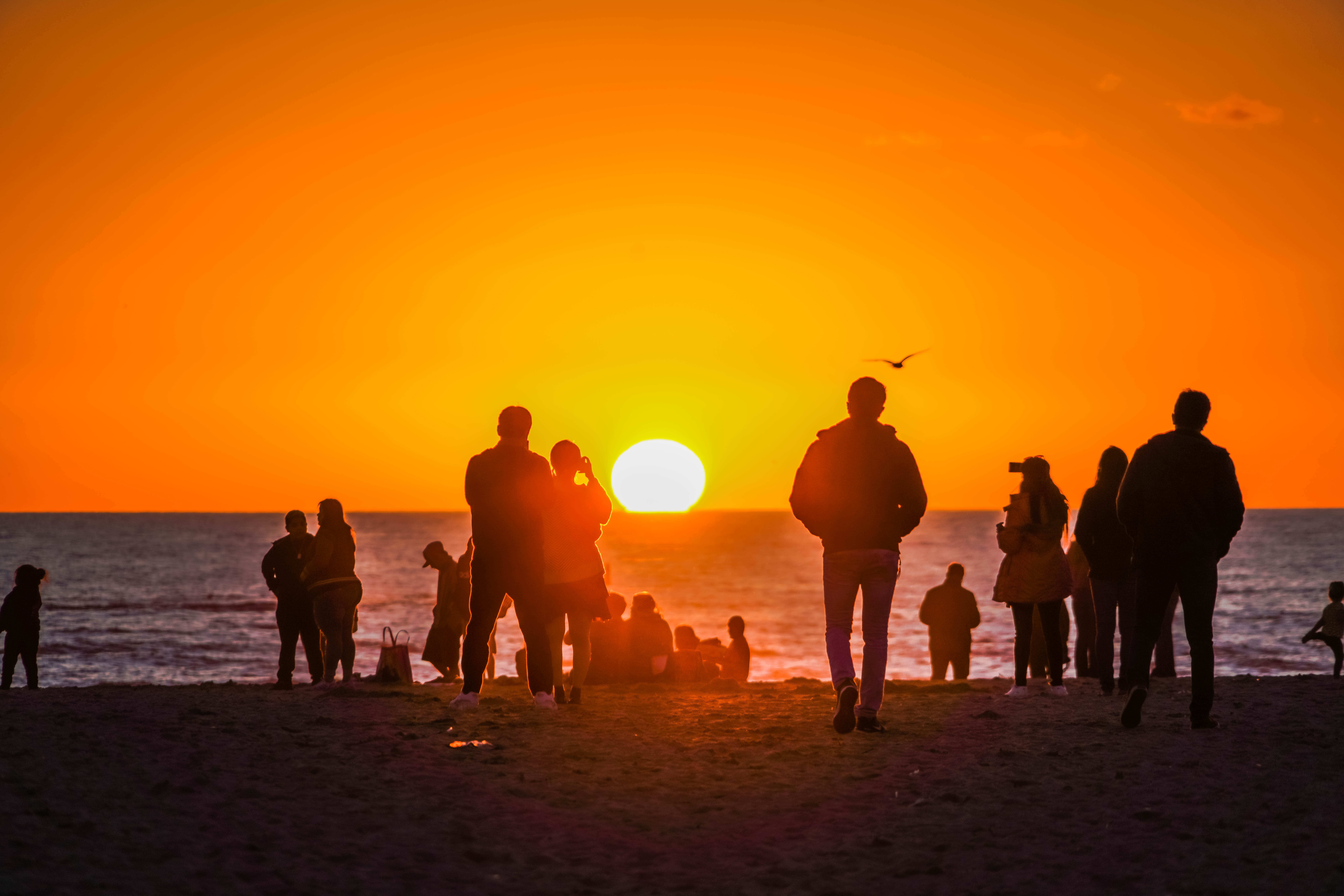 family enjoying sunset at the beach